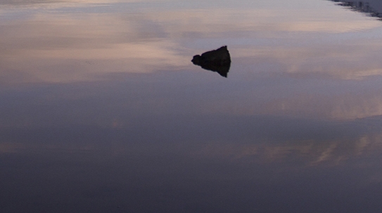 粉象生活分享后怎么没有佣金