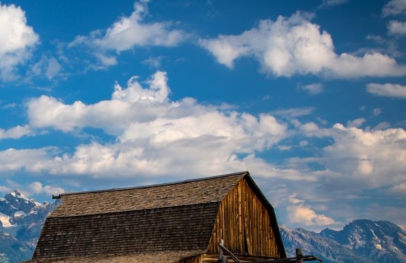 粉象生活金路老师