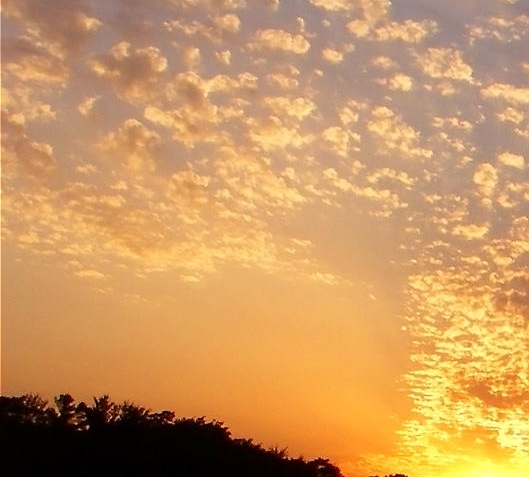 粉象生活登录淘宝