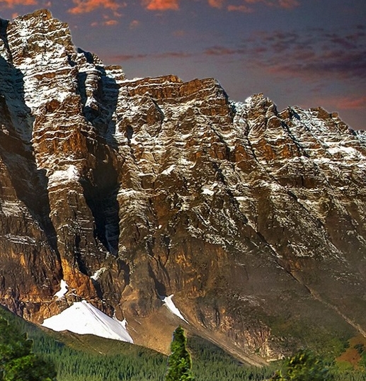 东莞粉象生活电话