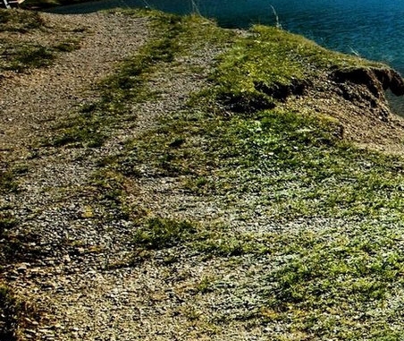 粉象生活返佣是真的吗