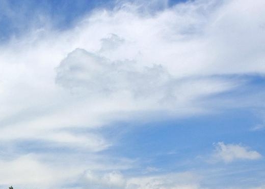 珠海粉象生活电话