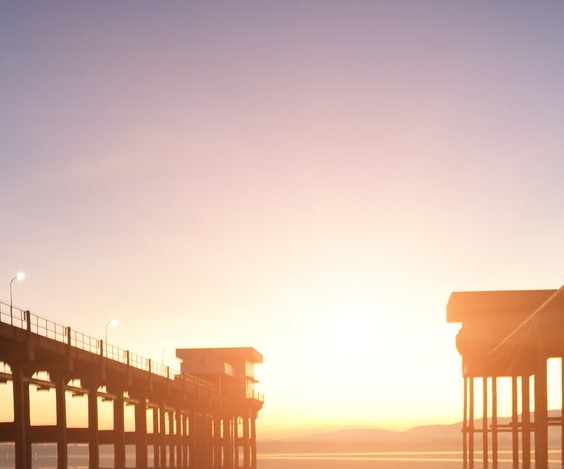 粉象生活软件正版