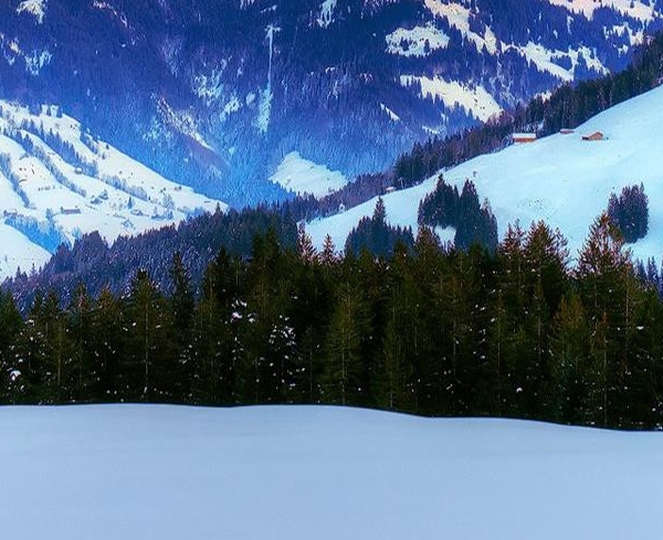 和粉象生活类似的软件