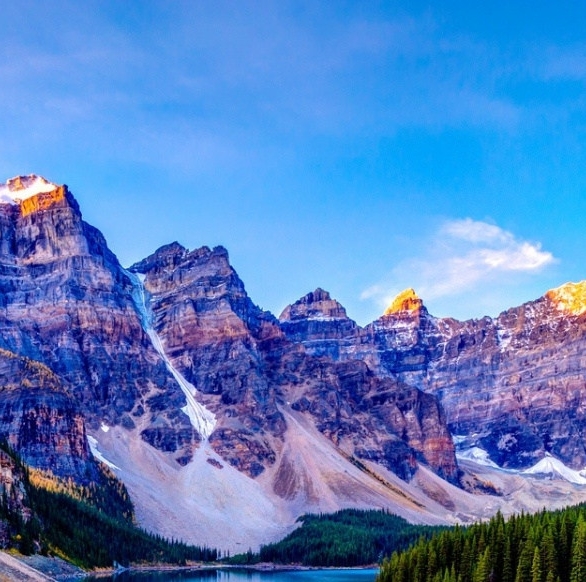 粉象生活下载app