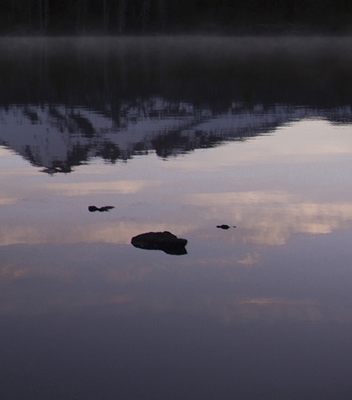 粉象生活vip邀请码