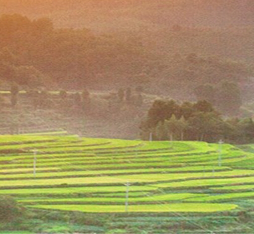 粉象生活怎么赚钱教程