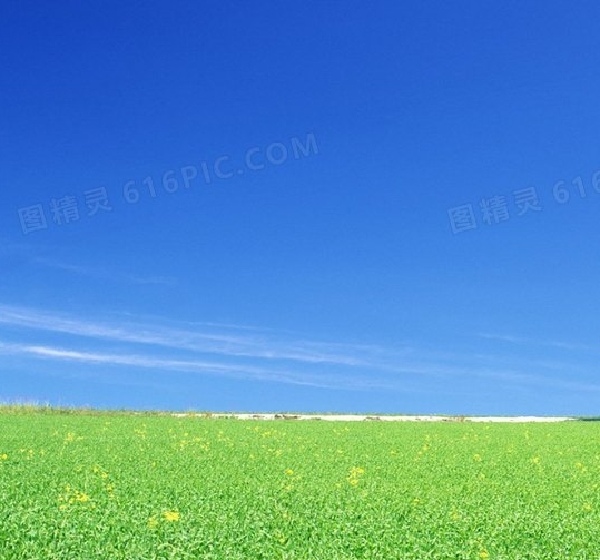 粉象生活关闭振动