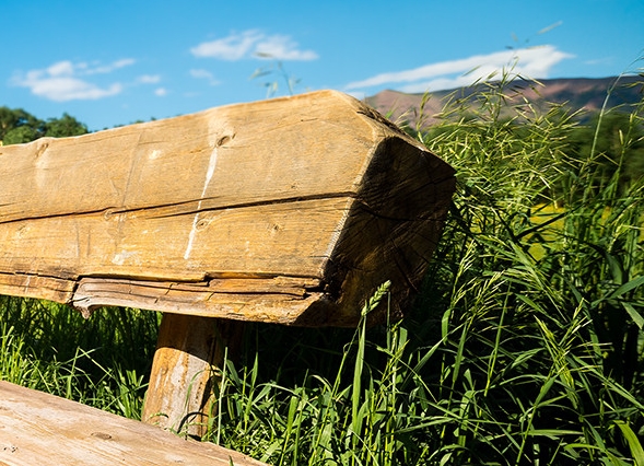 粉象生活官网首页
