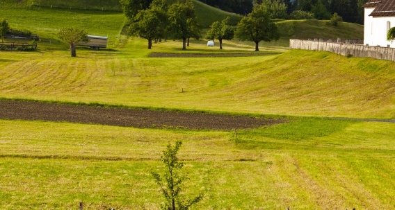 有趣生活app骗局
