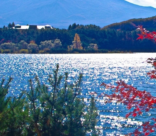 粉象生活可以赚钱吗