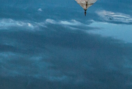 轻生活案例中创业资源的是