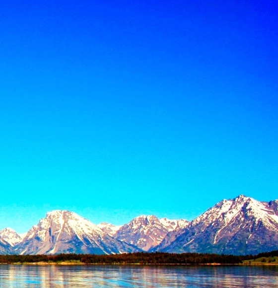 粉象生活邀请码