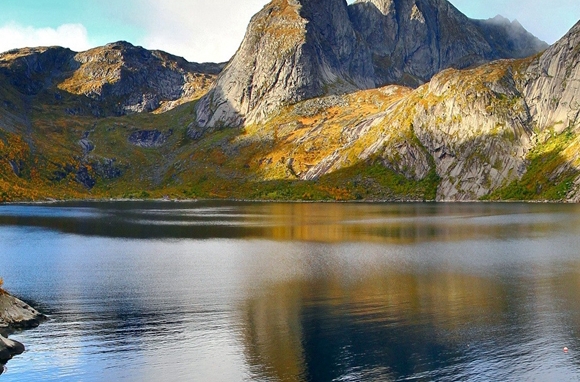 粉象生活邀请码