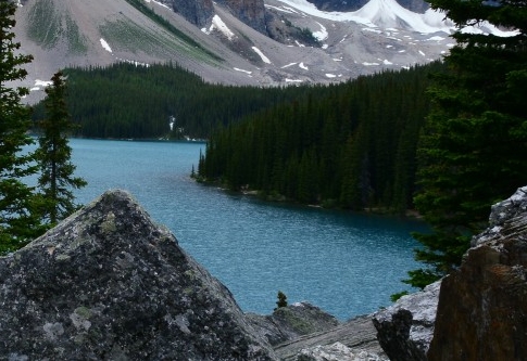 粉象生活怎么缴费