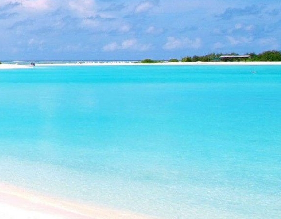 珠海粉象生活合伙人