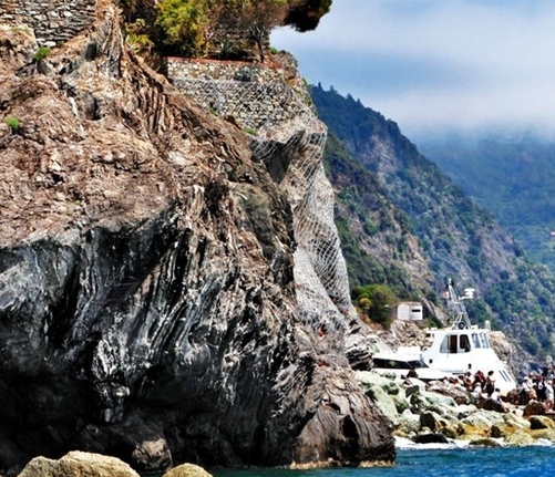 铜陵粉象生活代理