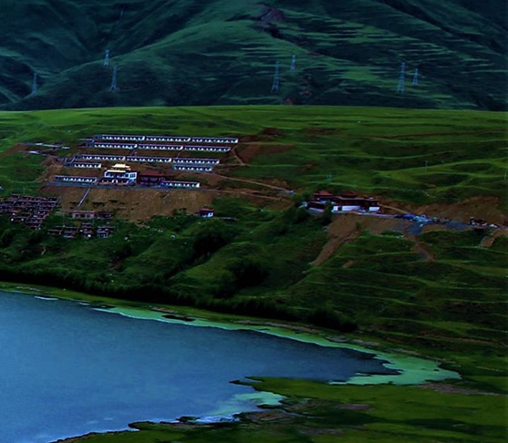 亳州粉象生活入驻申请注册