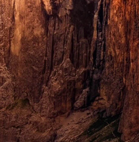 粉象生活邀请码