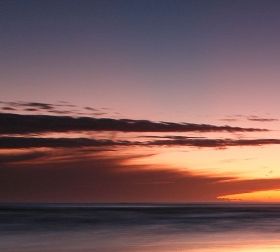 青岛粉象生活注册