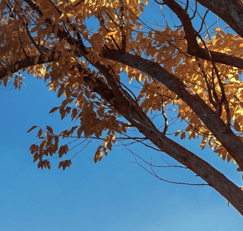 粉象生活到底能不能做