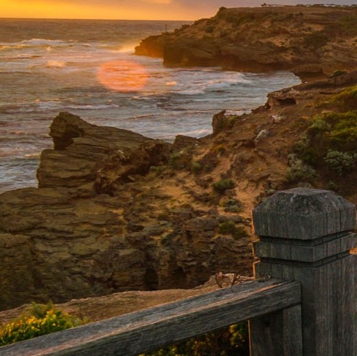 免费的粉象生活