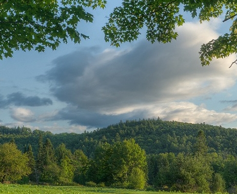 粉象生活怎么赚钱