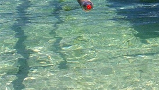 德州销售炉渣灰