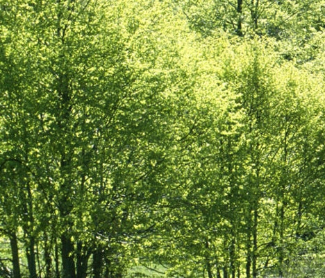 属性与生活打过借贷所