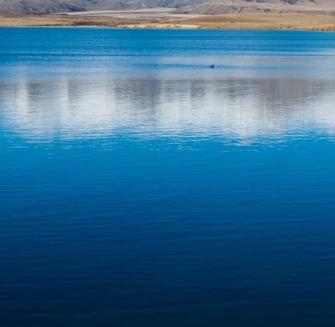 电商粉象生活是什么