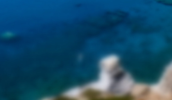 粉象生活的利弊