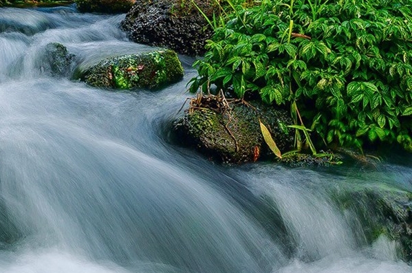 粉象生活注销后下级怎么办