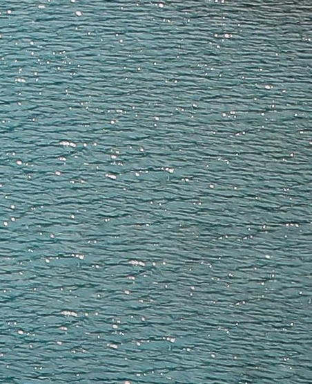 粉象生活收益修改