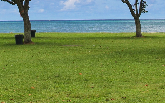 粉象生活下载app