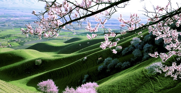 周口华联鲜生活可以加盟吗?