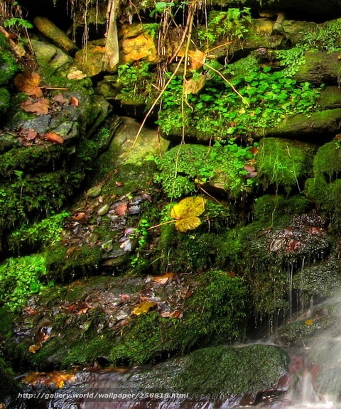 粉象生活可以赚钱吗