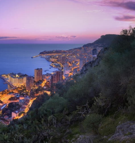 泸州粉象生活app