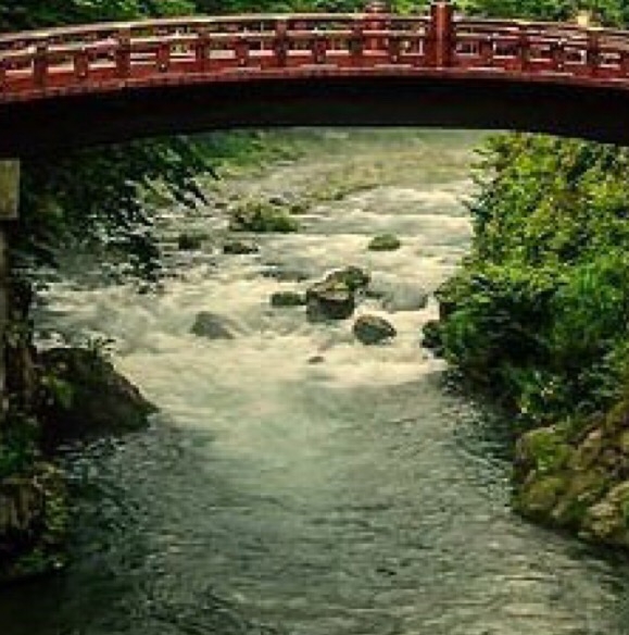 怎么分享粉象生活