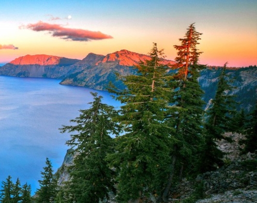 湖南正规粉象生活好不好