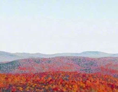 小红象是真的吗