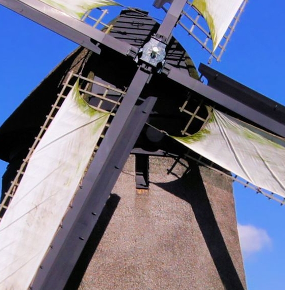 肇庆粉象生活图片