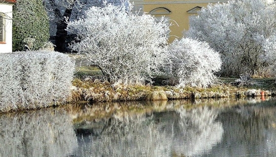 粉象生活借贷app