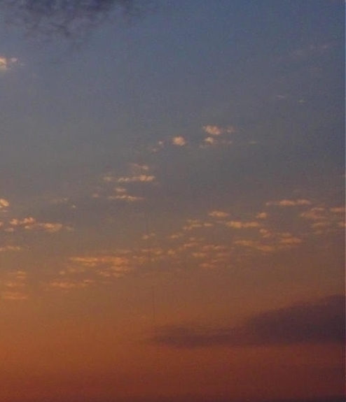 粉象生活赚钱教程