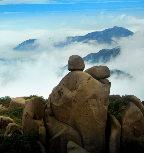 粉象生活骗局?揭密很多人被骗!说说他们的亲身经历!