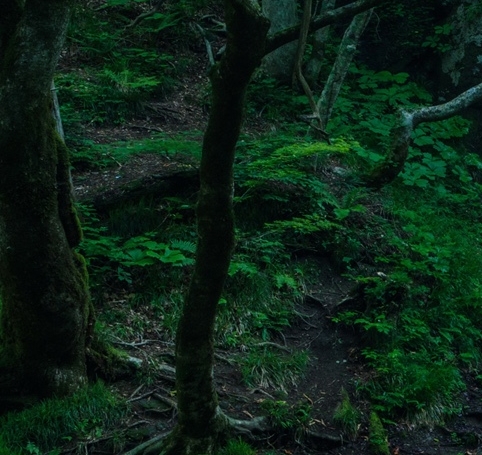 粉象生活赚钱是真的假的