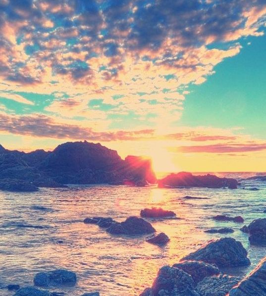 粉象生活资金冻结