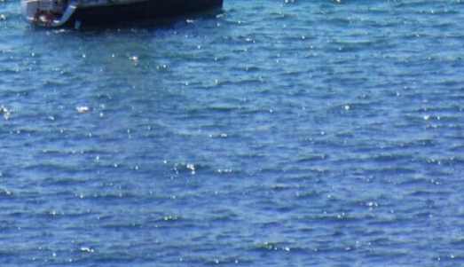 云浮粉象生活可信吗