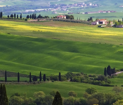 粉象生活是返利网吗
