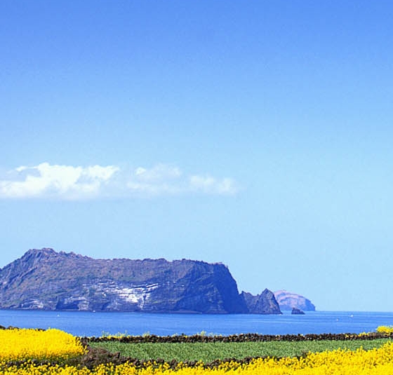 粉象生活怎么查找