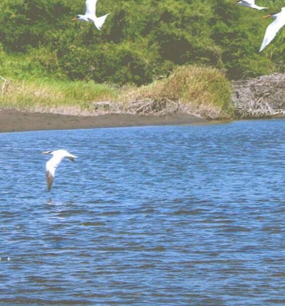 杭州粉象生活公司